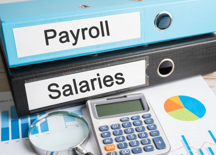 Payroll Processing - Valpact Consulting Delhi NCR Gurgaon Noida Ghaziabad India